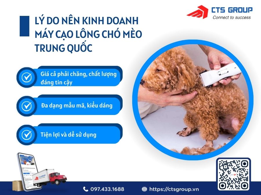 ly-do-kinh-doanh-may-cao-long-cho-meo-trung-quoc