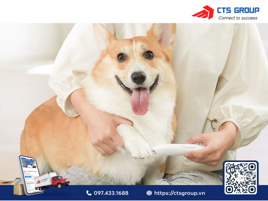 may-cao-long-cho-meo-Pawbby