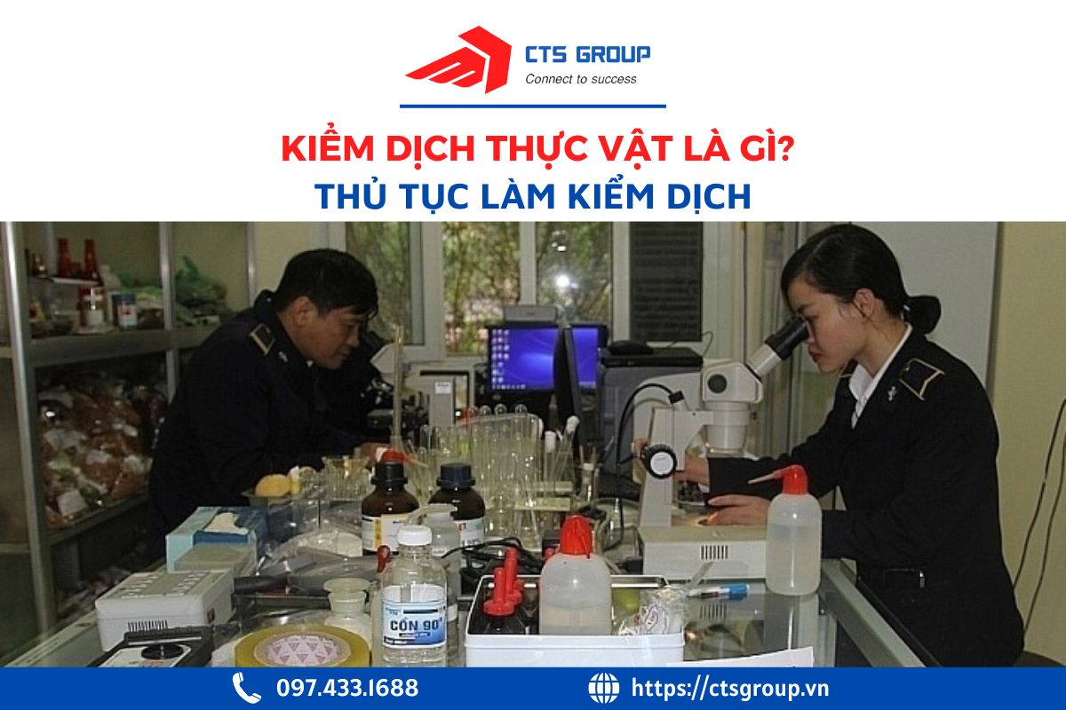 kiem-dich-thuc-vat-la-gi-1